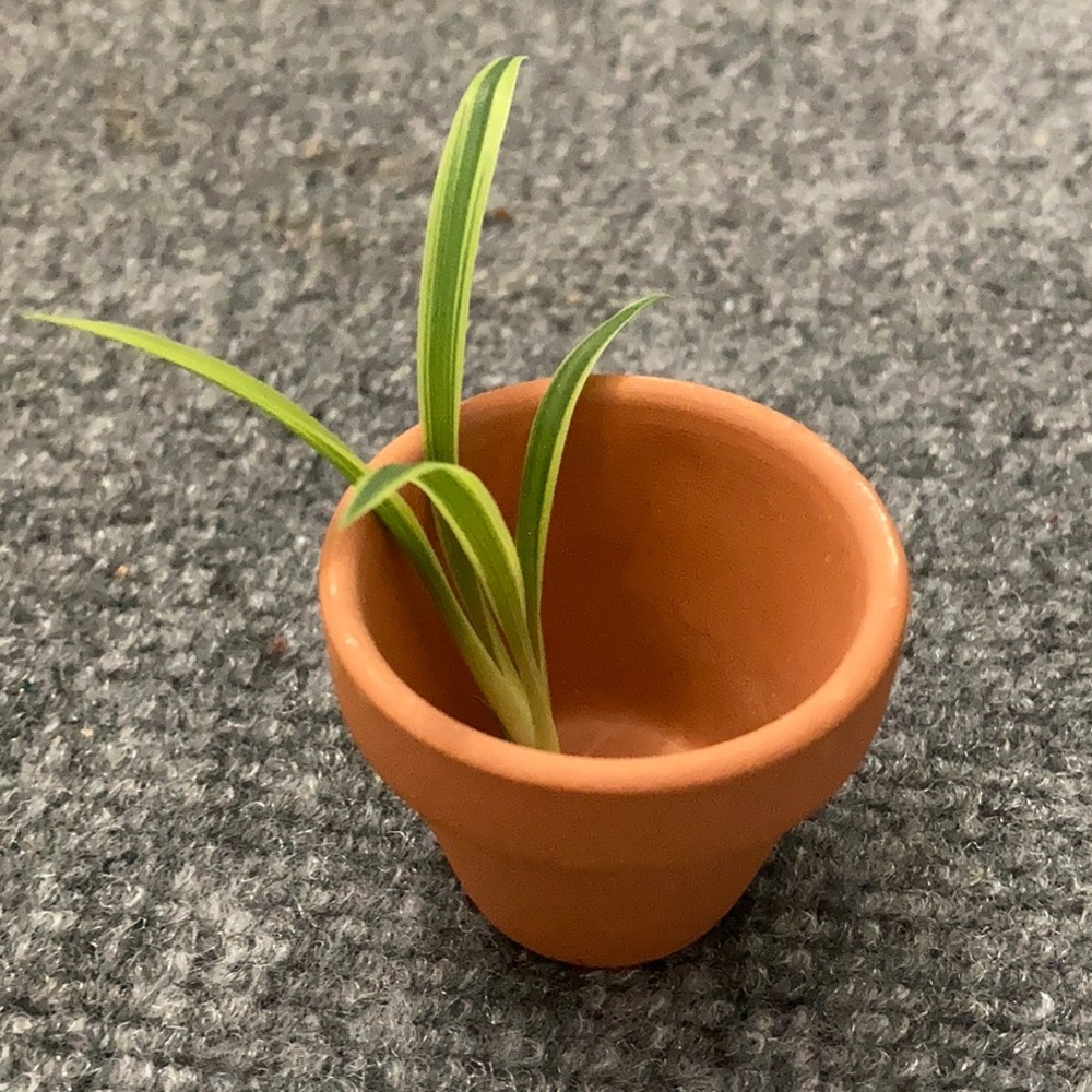 12 mini Terra Cotta Pots 1 1/2 inch.